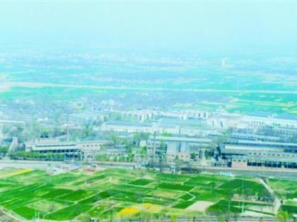 世界杯投注-世界杯足球投注平台 世界杯投注平台支持全程赛事竞猜,数据同步、赔率实时更新,是球迷畅玩世界杯足球投注的理想选择。