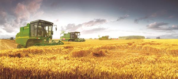 世界杯投注-世界杯足球投注平台 世界杯投注平台支持全程赛事竞猜,数据同步、赔率实时更新,是球迷畅玩世界杯足球投注的理想选择。