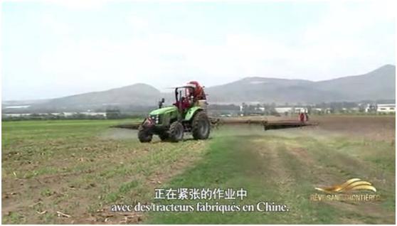 世界杯投注-世界杯足球投注平台 世界杯投注平台支持全程赛事竞猜,数据同步、赔率实时更新,是球迷畅玩世界杯足球投注的理想选择。