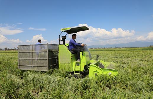 世界杯投注-世界杯足球投注平台  世界杯投注平台支持全程赛事竞猜，数据同步、赔率实时更新，是球迷畅玩世界杯足球投注的理想选择。